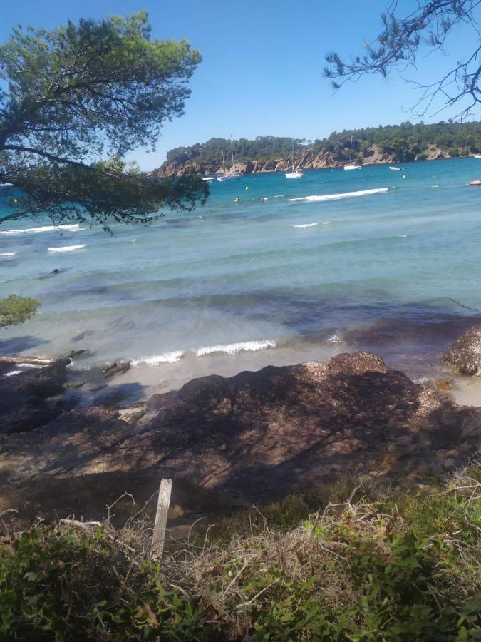 Appartement " Le Grand Bleu " A 3 Min De La Plage La Londe-les-Maures Zewnętrze zdjęcie
