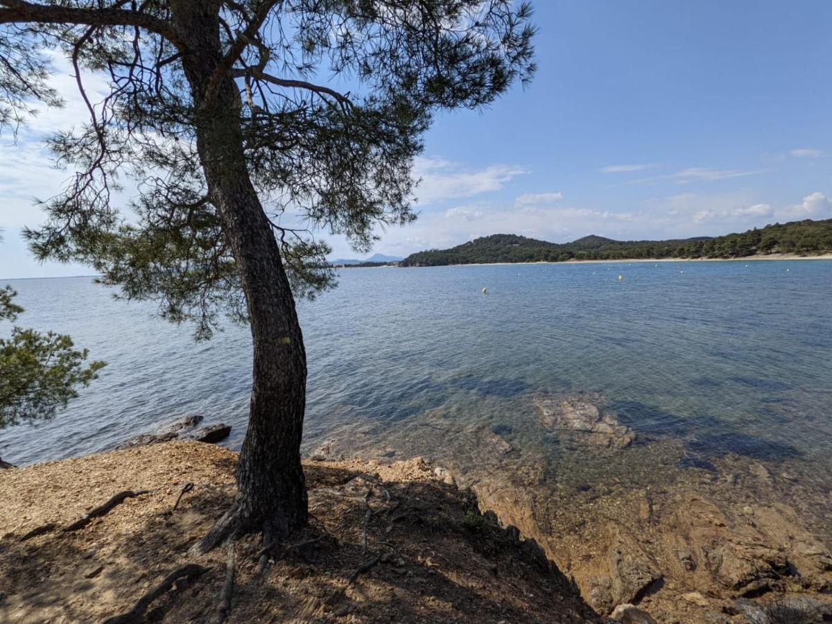 Appartement " Le Grand Bleu " A 3 Min De La Plage La Londe-les-Maures Zewnętrze zdjęcie
