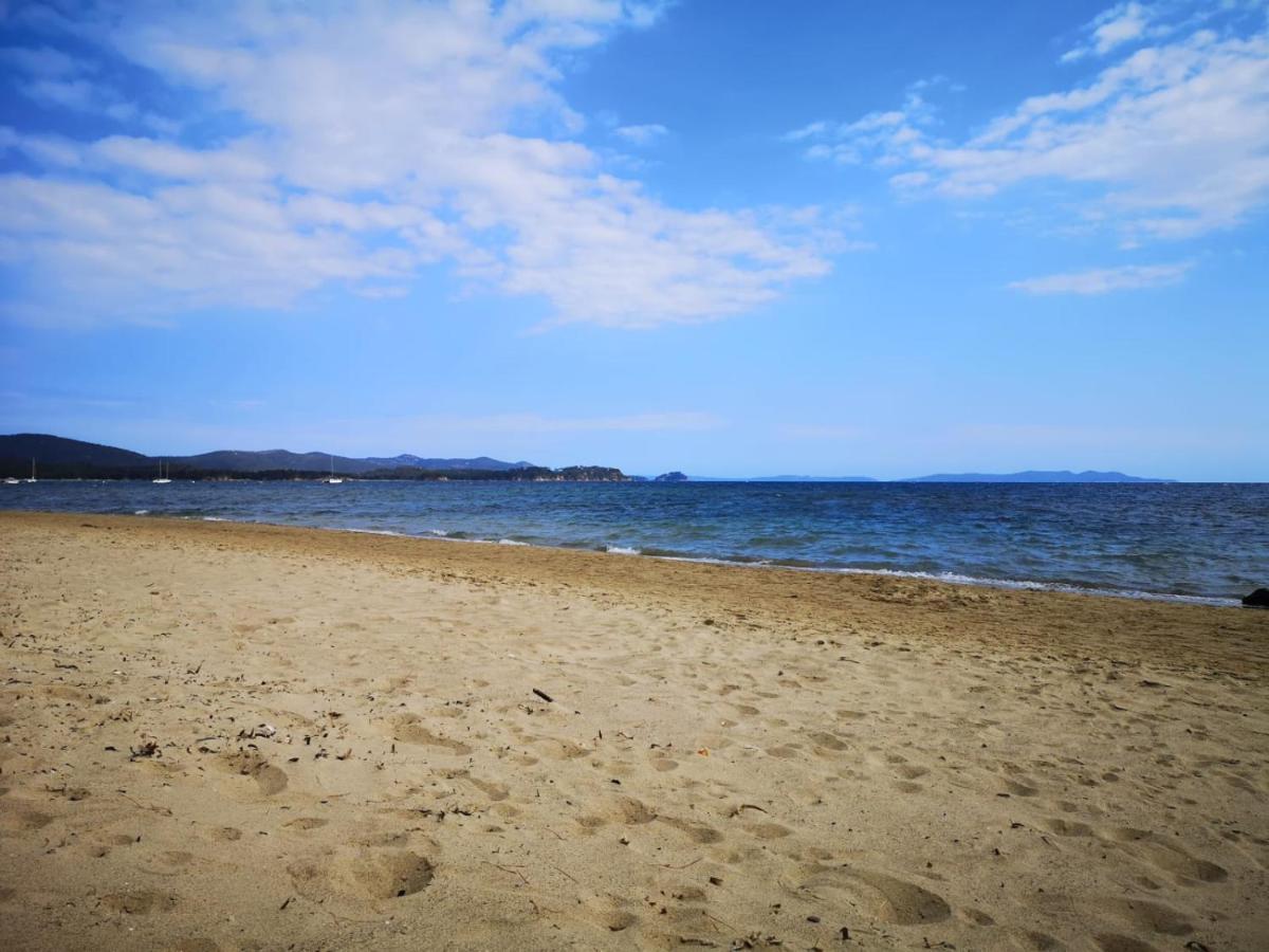 Appartement " Le Grand Bleu " A 3 Min De La Plage La Londe-les-Maures Zewnętrze zdjęcie