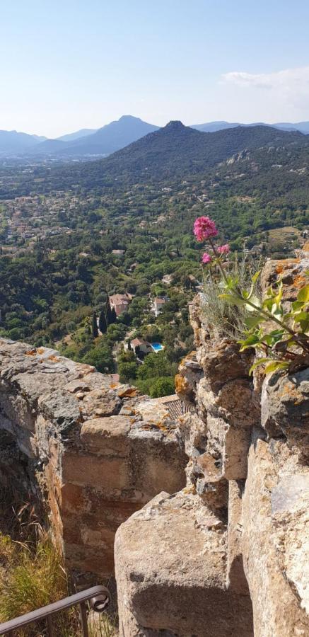 Appartement " Le Grand Bleu " A 3 Min De La Plage La Londe-les-Maures Zewnętrze zdjęcie